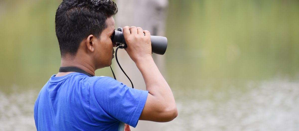 Man in blue shirt using binoculars at lakeside, exploring nature and wildlife.