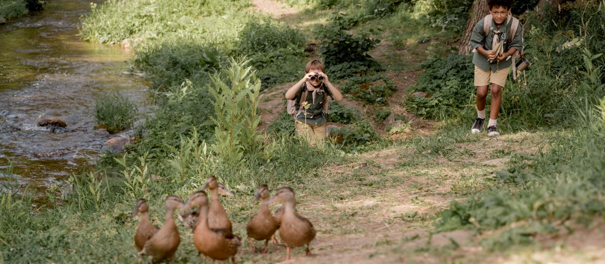 A birder on a wooded trail raising binoculars toward the canopy in dappled light.