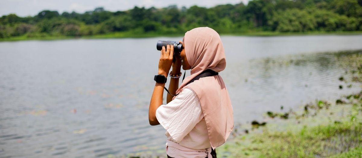 A birder walking a misty forest path at dawn with binoculars ready.
