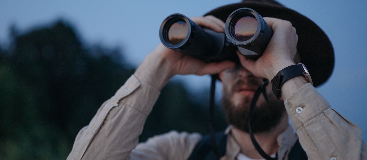 Binoculars held up against a soft dawn sky over an open field.